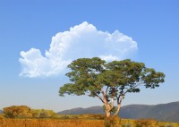 Геленджик 2020 - цены на отдых в частном секторе на берегу у моря - Гостевой дом «Окнейли»