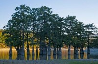 Сукко 2020 - лучшие мини - отели с бассейном - Гостевой дом «Ева»