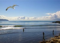 Геленджик 2020 - частные дома и гостиницы - цены на отдых - Гостевой дом «Окнейли»