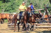 Сукко 2020 - отели и гостиницы с видом на море - Гостевой дом «Ева»