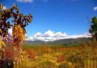 Геленджик 2020 - цены на отдых в недорогих пансионатах и гостевых домах - Гостевой дом «Окнейли»