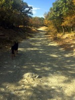 Анапа стоимость жилья посуточно - недорого - Лучшие отели 2019