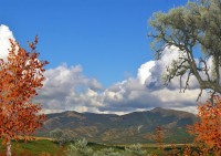 Геленджик 2020 - цены на отдых с детьми в гостевых домах - Гостевой дом «Окнейли»