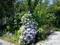 Севастополь 2024 жилье у моря в частном секторе - Лучшие отели 2019