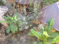 Туапсе 2020 - отели - все включено с бассейном - Отель «Лето»