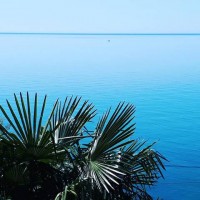 Чемитоквадже 2020 - гостевые дома на карте - Отель «Чемитка»