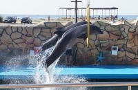 Краснодарский край - Сукко - Гостевые дома 2019 - недорогие отели с бассейном - цены