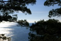 Геленджик 2020 - цены на жилье в частном секторе без посредников - Гостевой дом «Окнейли»