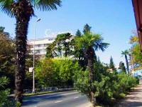 Сочи 2020 - цены на жильё возле моря в частном отеле - Отель «Светлана»