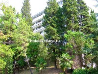 Сочи - Отели 2019 - недорогие отели - цены Краснодарский край - Сочи - Отели 2019 - цены на жилье в частном секторе без посредников