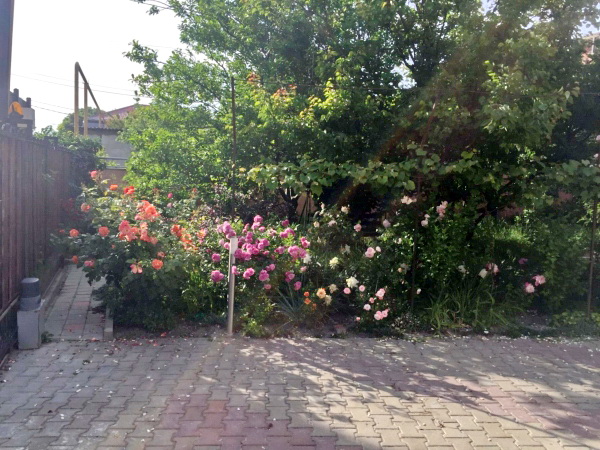 Гостевой дом «Вереск»