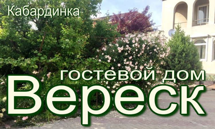 отдых на море все включено - недорого для жителей Когалыма и Сургута