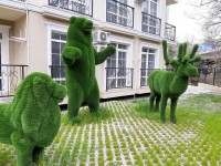 Краснодарский край - Адлер - Апартаменты 2019 - семейный отдых без посредников