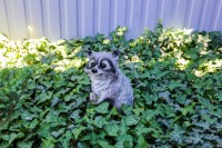 Геленджик 2020 - жилье для отдыха с детьми - Гостевой дом «На Советской»