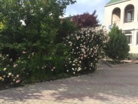 Краснодарский край - Кабардинка - Гостевые дома 2019 - отдых на море - жилье