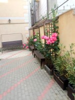 Краснодарский край - Кабардинка - Гостевые дома 2019 - отдых на Черном море - Россия