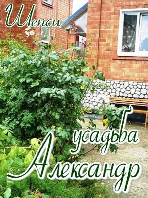 частное жилье рядом с морем - недорого