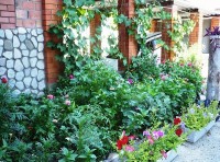 Шепси снять частное жилье у моря - Лучшие отели 2019