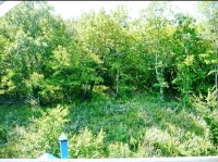 Шепси 2020 - лучшее жилье на берегу моря - Усадьба «Александр»