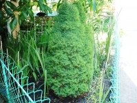 Шепси 2020 - недорогое жилье - цены без посредников - Усадьба «Александр»