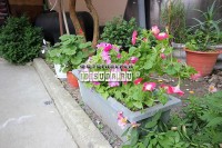 Лоо 2019 - снять жилье с бассейном - Частный сектор «Мечта»