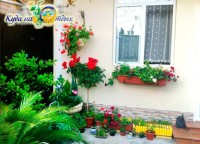 Адлер 2020 - выбрать жилье в частном секторе - Гостевой дом «У дяди Паши»