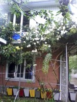 Шепси жилье на месяц - цена - Лучшие отели 2019