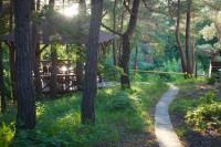 Дивноморское 2020 - лучшие гостевые дома и отели для отдыха - Бутик-отель «Park House»