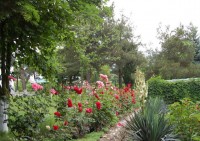 Дивноморское 2020 - детские лагеря в России - Студенческий ОСК «Радуга»