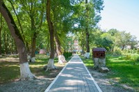 Дивноморское 2020 - детский санаторно оздоровительный лагерь - Студенческий ОСК «Радуга»