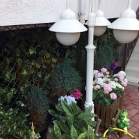 Адлер 2020 - жилье рядом с морем - Лучшие отели на море