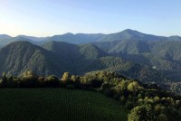 Сочи экскурсии в сочи отзывы - Лучшие туры и агентства