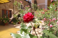 Ялта - Гостиничные комплексы 2019 - отели - все включено - Ялта - Гостиничные комплексы 2019 - отели - цены