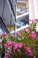 Ялта 2024 отели - все включено - цены - Гостиничные комплексы «Крымтур»