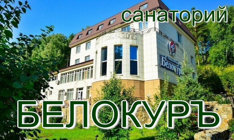 подарок путевка в санаторий