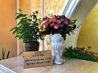 Сочи частные гостевые дома и отели на море - Лучшие отели 2019