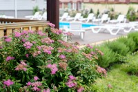 Туапсе отель на 200 номеров - Лучшие отели 2019