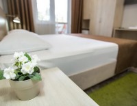 Анапа частные гостевые дома и отели на море - Отель «Dublin & Dolphin»