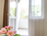 Анапа лучшие отели для отдыха с детьми - Отель «Dublin & Dolphin»