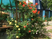 Ейск  - Лучшие отели 2019