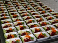 Краснодарский край - Архипо-Осиповка - Санатории 2019 - санатории недорого с детьми