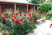 Темрюк гостевые дома - цены - Лучшие отели 2019