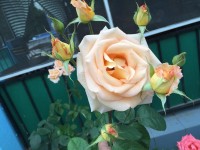 Ейск  - Лучшие отели 2019