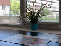 Краснодарский край - Криница - Виллы 2019 - отдых в частном секторе