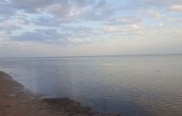 хутор Труд жилье на месяц - цена - База отдыха «Грэгори-Клаб»