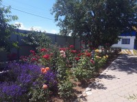 Темрюк недорогие отели снять номер - Лучшие базы отдыха