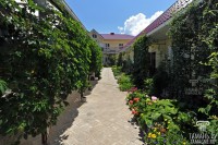  - Кучугуры - Гостевые дома 2019 - отдых у моря недорого