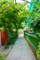 Адлер 2020 - отдых на море где все включено - Гостевой дом «Тихая гавань»