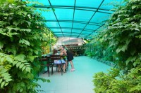 Адлер 2020 - море отдыха турагентство - Гостевой дом «Тихая гавань»