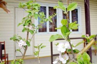 Ейск база отдыха у самого моря - Лучшие базы отдыха